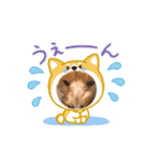 あー可愛い動く犬、猫！（個別スタンプ：3）