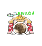こむぎちゃんはみんなのアイドル！（個別スタンプ：2）