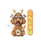 【敬語】日常スタンプ リアル★トイプー茶（個別スタンプ：3）