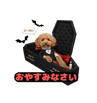 【敬語】日常スタンプ リアル★トイプー茶（個別スタンプ：6）