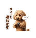 【敬語】日常スタンプ リアル★トイプー茶（個別スタンプ：9）