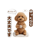 【敬語】日常スタンプ リアル★トイプー茶（個別スタンプ：10）