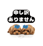 【敬語】日常スタンプ リアル★トイプー茶（個別スタンプ：15）
