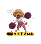 【敬語】日常スタンプ リアル★トイプー茶（個別スタンプ：17）