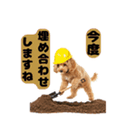 【敬語】日常スタンプ リアル★トイプー茶（個別スタンプ：20）