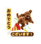 【敬語】日常スタンプ リアル★トイプー茶（個別スタンプ：21）