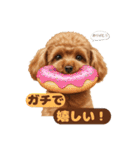 【敬語】日常スタンプ リアル★トイプー茶（個別スタンプ：22）