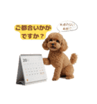 【敬語】日常スタンプ リアル★トイプー茶（個別スタンプ：35）