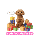 【敬語】日常スタンプ リアル★トイプー茶（個別スタンプ：38）