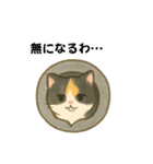 いたずら三毛猫の使える日常リアクション編（個別スタンプ：8）