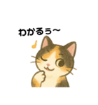 いたずら三毛猫の使える日常リアクション編（個別スタンプ：23）