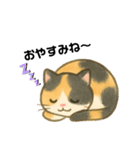 いたずら三毛猫の使える日常リアクション編（個別スタンプ：24）