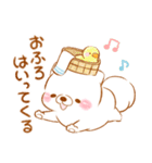 生活❤️いやしばいぬ❤️白柴（個別スタンプ：25）