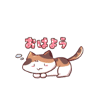 走っているのはブーンねこ（個別スタンプ：7）