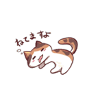 走っているのはブーンねこ（個別スタンプ：8）