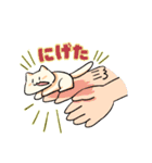 走っているのはブーンねこ（個別スタンプ：16）