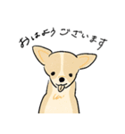 日常で使える犬の敬語スタンプ（個別スタンプ：1）