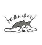 日常で使える犬の敬語スタンプ（個別スタンプ：2）