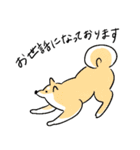日常で使える犬の敬語スタンプ（個別スタンプ：5）