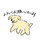 日常で使える犬の敬語スタンプ（個別スタンプ：7）