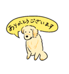 日常で使える犬の敬語スタンプ（個別スタンプ：11）