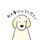 日常で使える犬の敬語スタンプ（個別スタンプ：22）