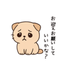 【家族連絡】スコティッシュフォールド（個別スタンプ：11）