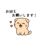 【家族連絡】スコティッシュフォールド（個別スタンプ：12）