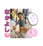 あずきとタンタン⭐︎時々ニセあずきとめ♪（個別スタンプ：5）