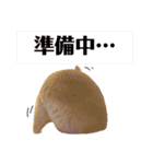 ちゃ美＆うさ太スタンプ（個別スタンプ：13）