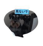 ミナミキッズひしんAMA（個別スタンプ：5）