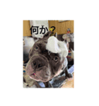 ミナミキッズひしんAMA（個別スタンプ：7）
