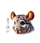 チンチラさん詰め合わせ（個別スタンプ：1）