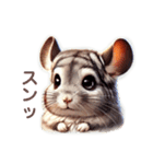 チンチラさん詰め合わせ（個別スタンプ：12）