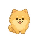 ふわふわポメラニアン(シンプル)（個別スタンプ：1）