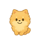 ふわふわポメラニアン(シンプル)（個別スタンプ：3）
