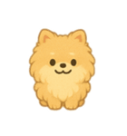 ふわふわポメラニアン(シンプル)（個別スタンプ：10）