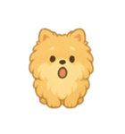 ふわふわポメラニアン(シンプル)（個別スタンプ：13）