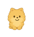 ふわふわポメラニアン(シンプル)（個別スタンプ：20）