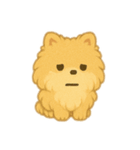 ふわふわポメラニアン(シンプル)（個別スタンプ：23）