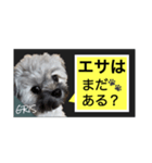 家族に使って欲しい愛犬のスタンプ（個別スタンプ：18）