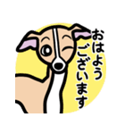 【フォーン】1年中使えるイタグレスタンプ（個別スタンプ：1）