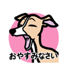 【フォーン】1年中使えるイタグレスタンプ（個別スタンプ：4）