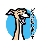 【フォーン】1年中使えるイタグレスタンプ（個別スタンプ：6）