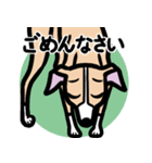 【フォーン】1年中使えるイタグレスタンプ（個別スタンプ：7）
