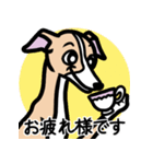 【フォーン】1年中使えるイタグレスタンプ（個別スタンプ：8）