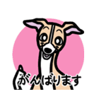【フォーン】1年中使えるイタグレスタンプ（個別スタンプ：11）