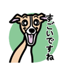 【フォーン】1年中使えるイタグレスタンプ（個別スタンプ：14）