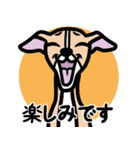 【フォーン】1年中使えるイタグレスタンプ（個別スタンプ：16）