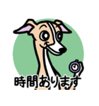 【フォーン】1年中使えるイタグレスタンプ（個別スタンプ：21）